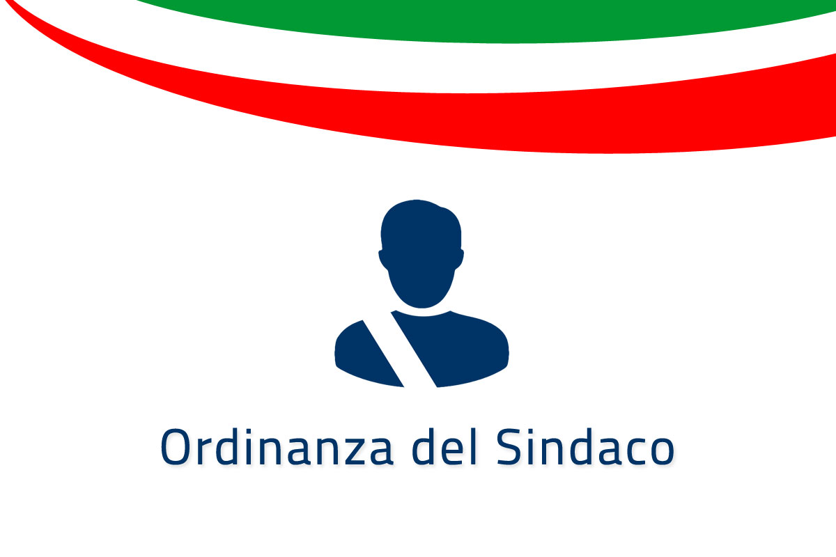 Ordinanza n. 26/2024 DEL 11.11.2024