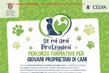Percorso formativo per giovani proprietari di cani
