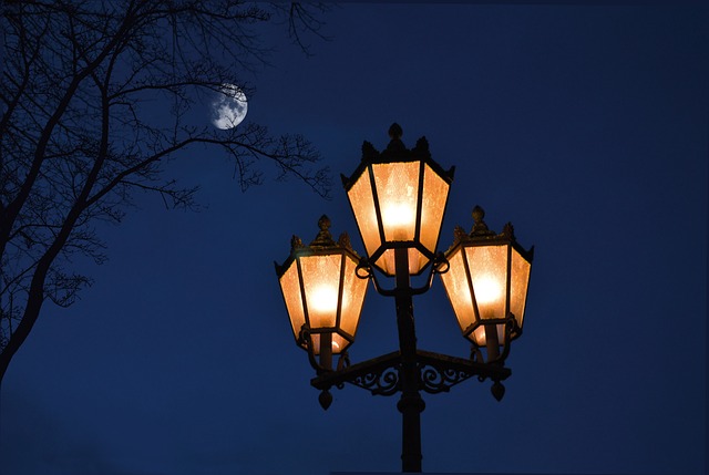 Immagine decorativa